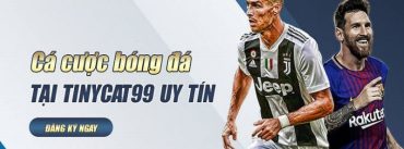 Độ uy tín của Tinycat99 là không cần bàn cãi